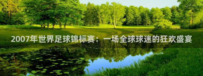  2007年世界足球锦标赛：一场全球球迷的狂欢盛宴