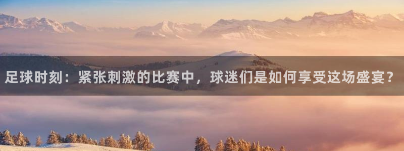 足球时刻：紧张刺激的比赛中，球迷们是如何享受这场盛宴？