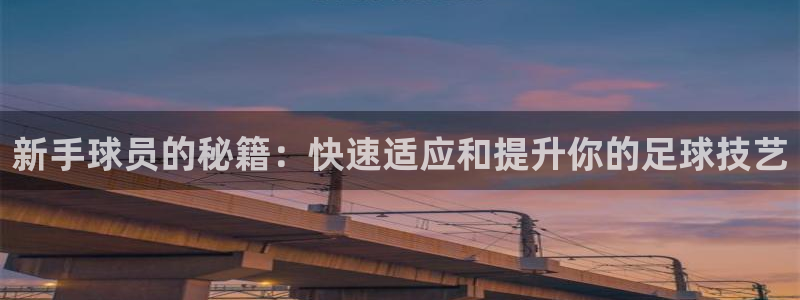  新手球员的秘籍：快速适应和提升你的足球技艺