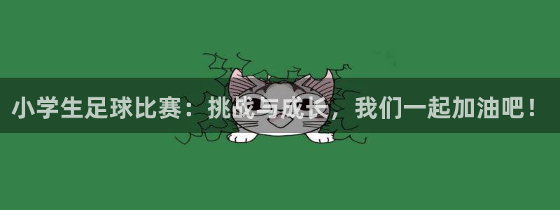 小学生足球比赛：挑战与成长，我们一起加油吧！
