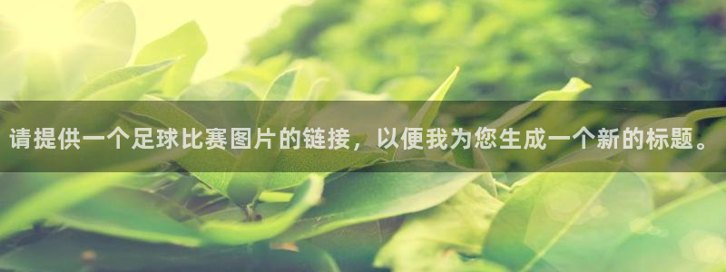 请提供一个足球比赛图片的链接，以便我