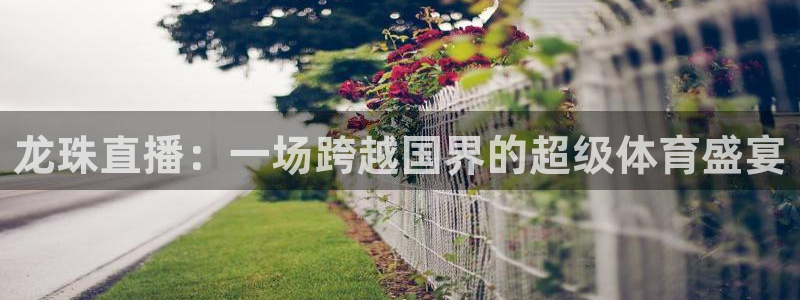 龙珠直播：一场跨越国界的超级体育盛宴