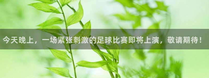 今天晚上，一场紧张刺激的足球比赛即将